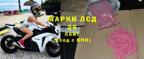 стаф Аркадак