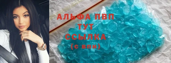 стаф Аркадак