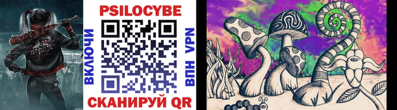 Галлюциногенные грибы Psilocybine cubensis  Балахна 